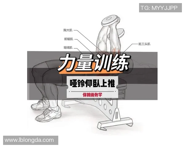 提升肱三头肌力量的哑铃训练方法与技巧分享